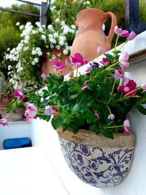 a pot of flowers on a wall with a vase at LE VELE in Palermo