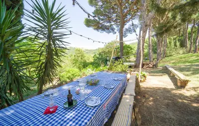 a picnic table with a blue and white checkered table cloth at Nocellara in Alia