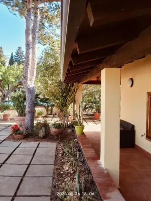 a porch of a house with a tree and plants at Villa Flora in Castellammare del Golfo