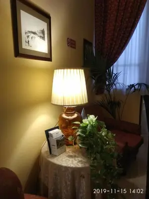 a lamp on a table in a living room with a plant at Hotel del Centro in Palermo