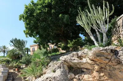 a garden with cacti and trees on a rock at Rocco Forte Villa Igiea in Palermo