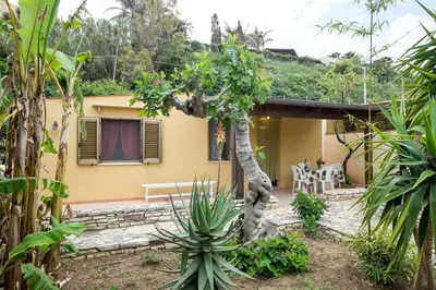 a small yellow house with a tree in the yard at RESIDENCE FEDERICA in Castellammare del Golfo