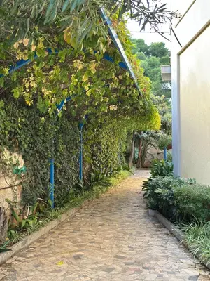 a cobblestone path next to a ivy covered wall at Villa Savoia Mondello in Mondello