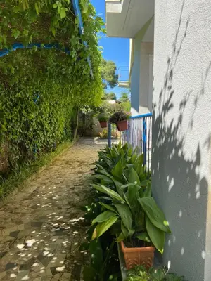 an alley with plants on the side of a building at Villa Savoia Mondello in Mondello