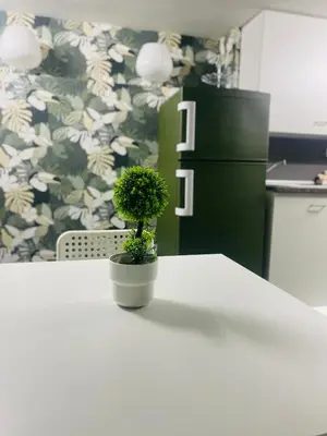 a potted plant sitting on a table in a kitchen at Bella Sicilia in Palermo