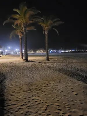 three palm trees on a beach at night at cico appartamento in San Vito lo Capo
