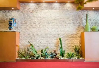 a wall with succulents and plants in a lobby at Albergo Athenaeum in Palermo