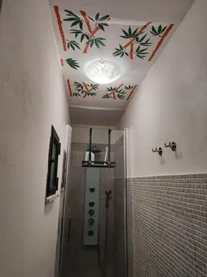 a bathroom with a shower and a ceiling with flowers at Casa dei Tre Re in Palermo