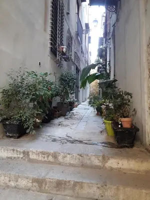 an alley with potted plants on the side of a building at The347, Diletta in Palermo
