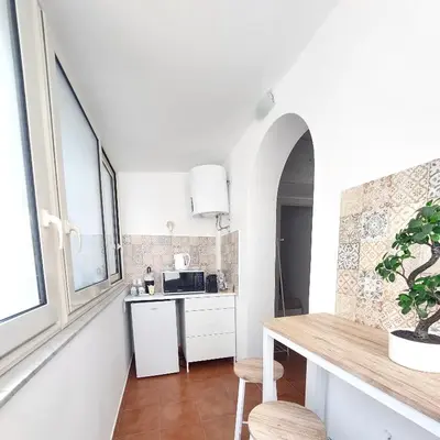 a kitchen with a counter and a table with a plant at Guest House Palermo Massimo 23 in Palermo