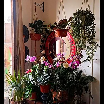 a mirror and some potted plants in a room at AlCasart in Alcamo