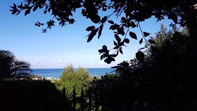 a view of the ocean from a tree at Addaura Village e Congressi in Mondello