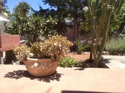 a large pot with plants in a garden at VILLETTA MAGNOLIE by Trerose Properties - Villetta indipendente con wi-fi e posto auto gratuito in San Vito lo Capo