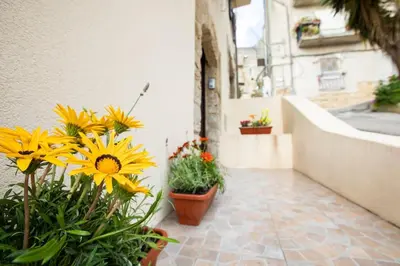 a courtyard with yellow flowers and plants on a building at La Domus di Segesta 