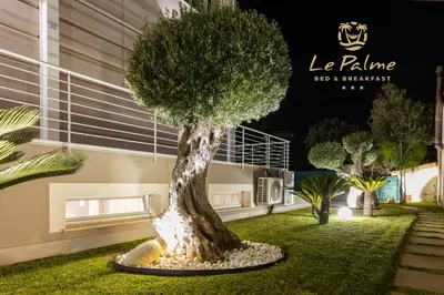 a tree in the grass in front of a building at Le Palme in Terrasini