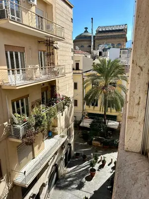 a view from a building with a palm tree and buildings at B&B Ungheria Ottantaquattro in Palermo