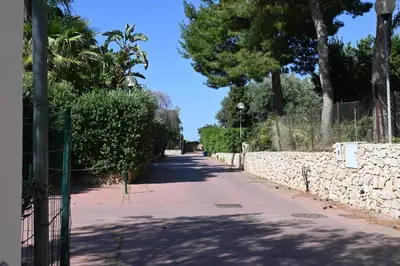 an empty street with a stone wall and trees at Chalet Calarossa in Terrasini