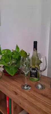 a bottle of wine and two glasses on a table at Casa il Bergamotto in Palermo