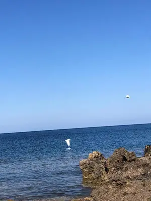 a person standing on a beach near the ocean at Casa Donatella a Isola in Isola delle Femmine