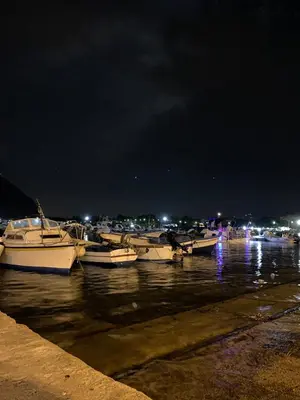 a group of boats docked in the water at night at Surfinia’s home in Palermo