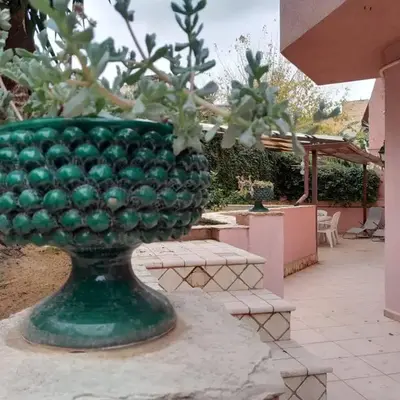 Oasi home