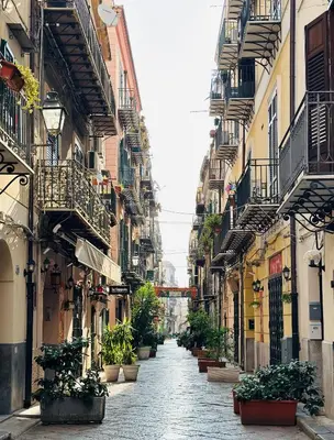 an alley with potted plants on a city street at Maison Opéra in Palermo