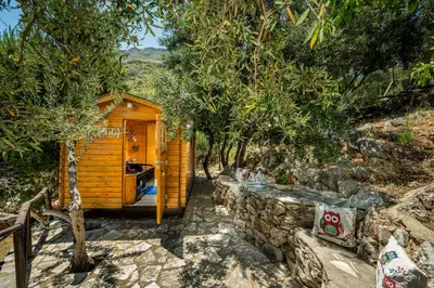a wooden cabin with a stone wall and trees at Palma Dello Zingaro in Scopello