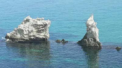 a group of birds sitting on a rock in the water at Les Voiles in Terrasini