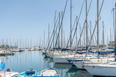 a bunch of boats docked in a harbor at Apartments La Cala by Wonderful Italy in Palermo