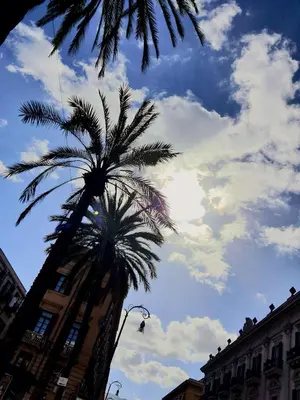 a palm tree in front of a cloudy sky at A casa di Claudia in Palermo