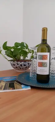 a bottle of wine sitting on a table with a plant at Loft Ballarò in Palermo
