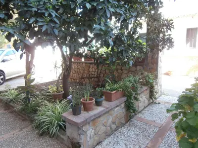 a stone retaining wall with potted plants on it at Busalacchi B&B in Mondello