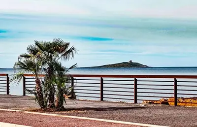 a palm tree sitting next to a fence next to the ocean at FronteMare in Palermo