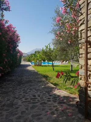 a road leading to the beach with flowers on the grass at Agriturismo Villa Cefalà in Santa Flavia