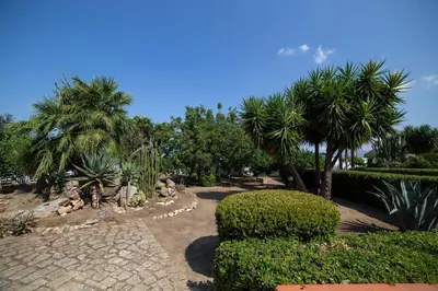 a garden with palm trees and a walk way at Le Yucche in Partinico