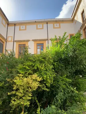 an old building with plants in front of it at Palazzo resuttana in Palermo