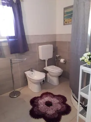 a bathroom with a toilet and a purple rug at La Casa sul Mare in Balestrate