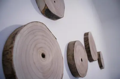 a bunch of rolls of paper on a wall at Pacini Deluxe Apartment in Palermo