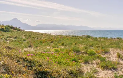 a field of flowers on a beach near the water at Lovely Home In Piane Vecchie,Lascari in Lascari