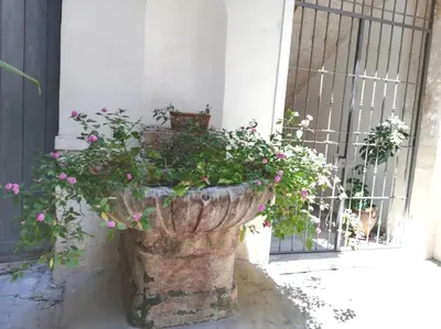 a large stone planter with flowers in front of a door at Residenza Lincoln in Palermo