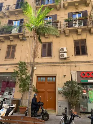 a man riding a scooter next to a building with a palm tree at Materesa in Palermo