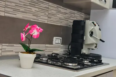 a pink flower in a pot on a stove in a kitchen at Amaryllis Apartments in Bagheria