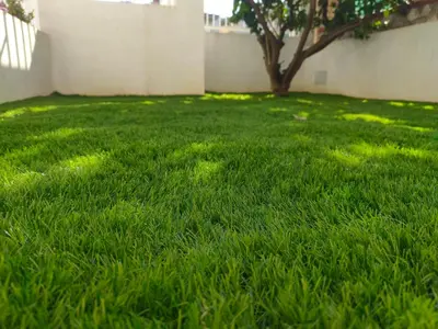 a yard with green grass with a tree in it at Casa Phimes in Calatafimi
