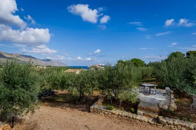 a garden with trees and a dirt road at Casetta degli Ulivi Castellammare del Golfo in Scopello