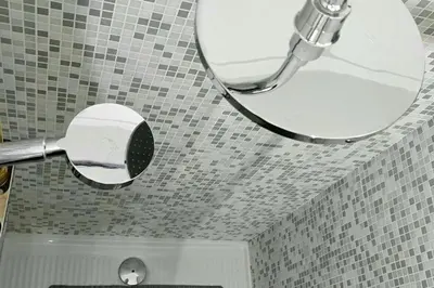 a bathroom with a shower with a plant on a counter at N21 in Palermo