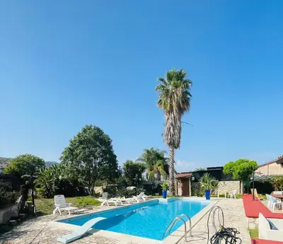 a villa with a palm tree and a swimming pool at Villa Inserra Deluxe in Palermo