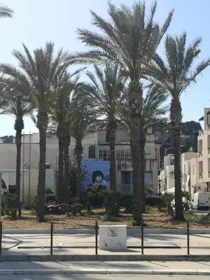 a group of palm trees in front of a building at APPARTAMENTO A SAN VITO LO CAPO STANZA CON BAGNO in San Vito lo Capo
