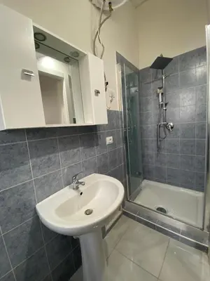 a bathroom with a sink and a shower at Perla Diva Apartment in Palermo
