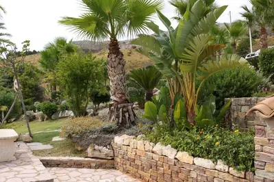a garden with palm trees and a stone wall at Belle Vue Sarmuci in Scopello