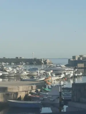 a bunch of boats are docked in a harbor at Casa Alice in Isola delle Femmine